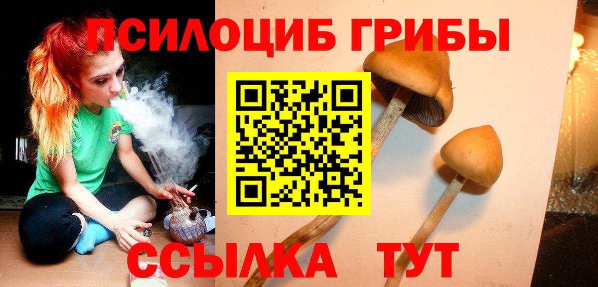 Псилоцибиновые грибы GOLDEN TEACHER  Галлюциногенные грибы прущие грибы  Киселёвск  Вход с VPN 